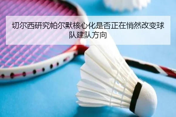 切尔西研究帕尔默核心化是否正在悄然改变球队建队方向