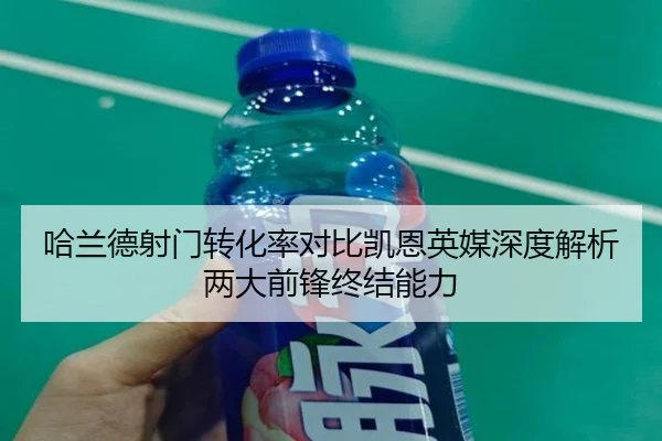 哈兰德射门转化率对比凯恩英媒深度解析两大前锋终结能力